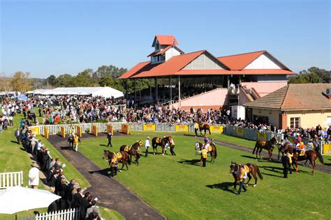 Wagga races today  Racing NSW Stewards Fine Licensed Trainer Cameron Crockett